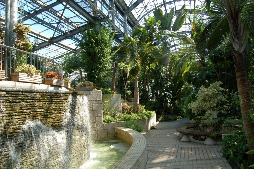 🌸 꽃 정원(인노시마 플라워 센터) 이미지 8